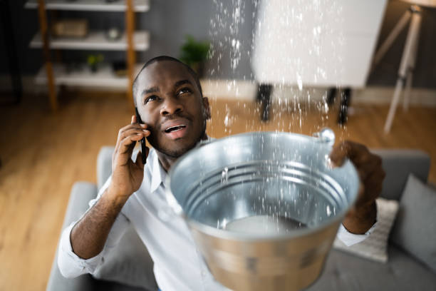 Best 24-hour water damage restoration  in Rutherford, TN