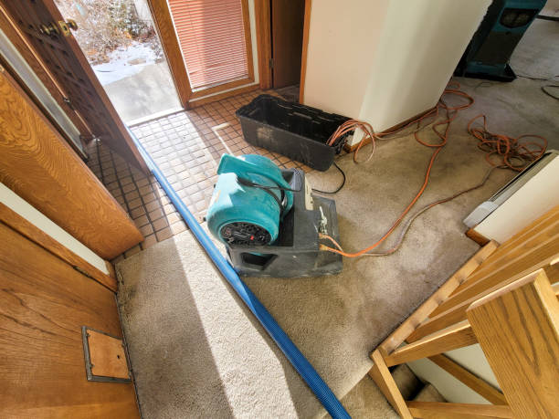 Best Carpet water damage restoration  in Rutherford, TN